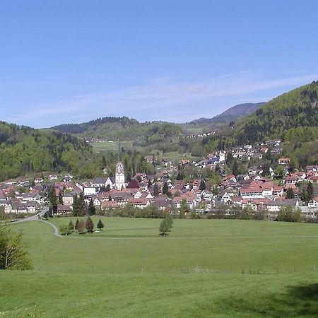 Parkhotel Sonne Schönau im Schwarzwald Exterior foto