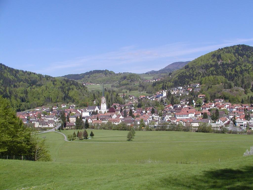 Parkhotel Sonne Schönau im Schwarzwald Exterior foto